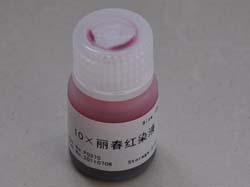 10×丽春红染液